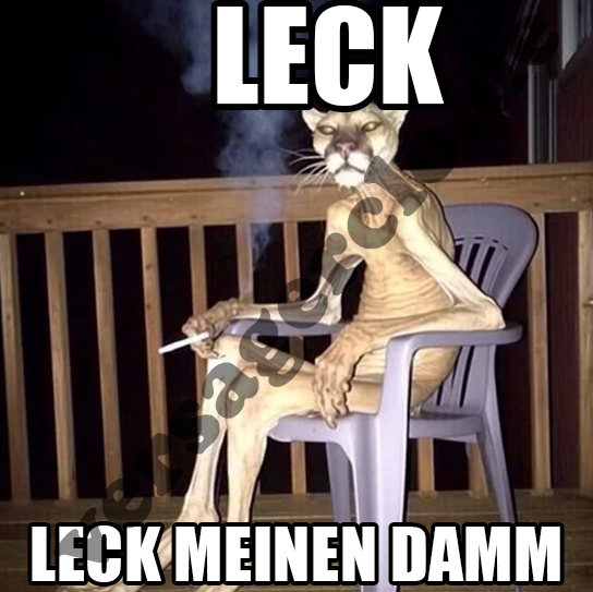 Leck meinen Damm Sticker