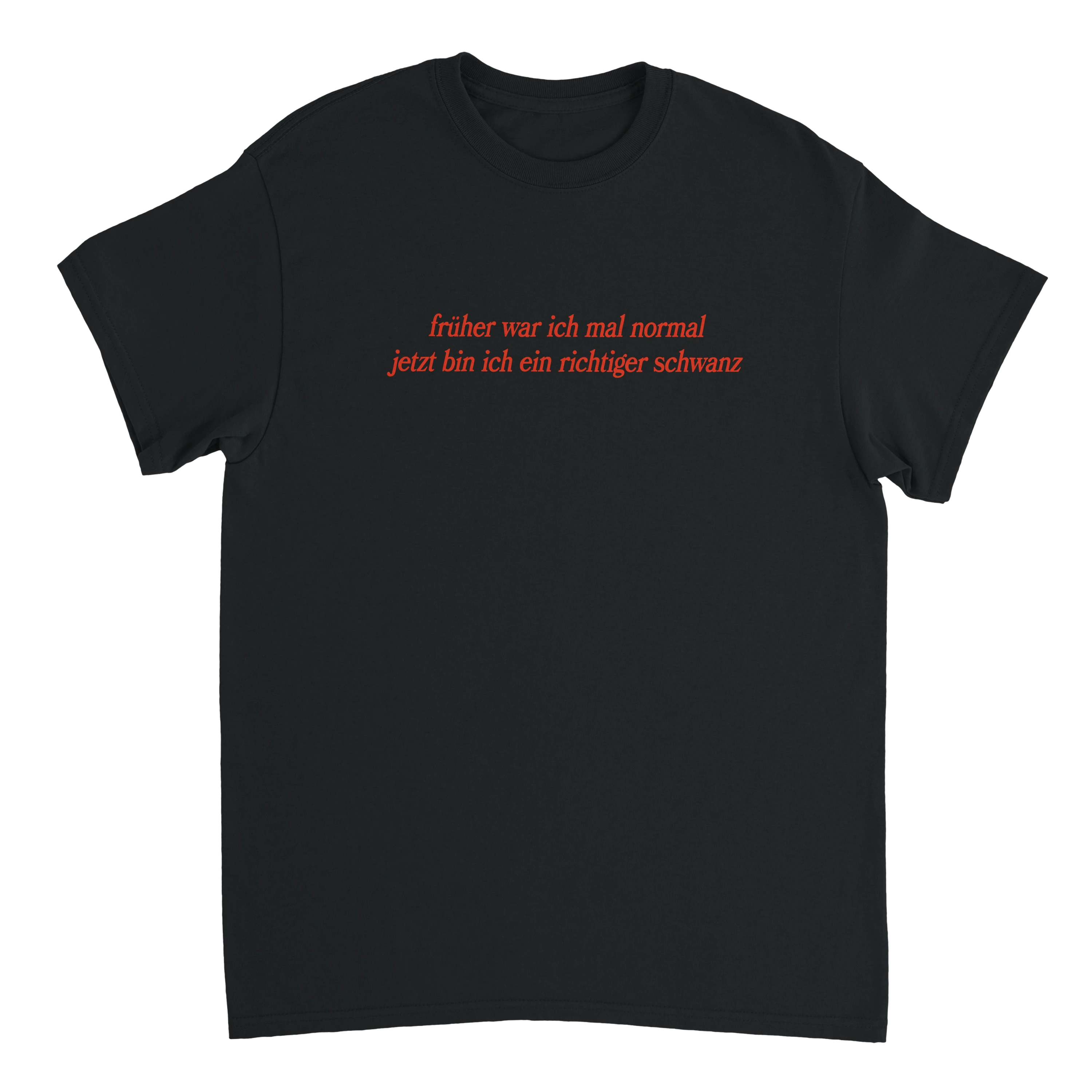 früher war ich mal normal T-Shirt
