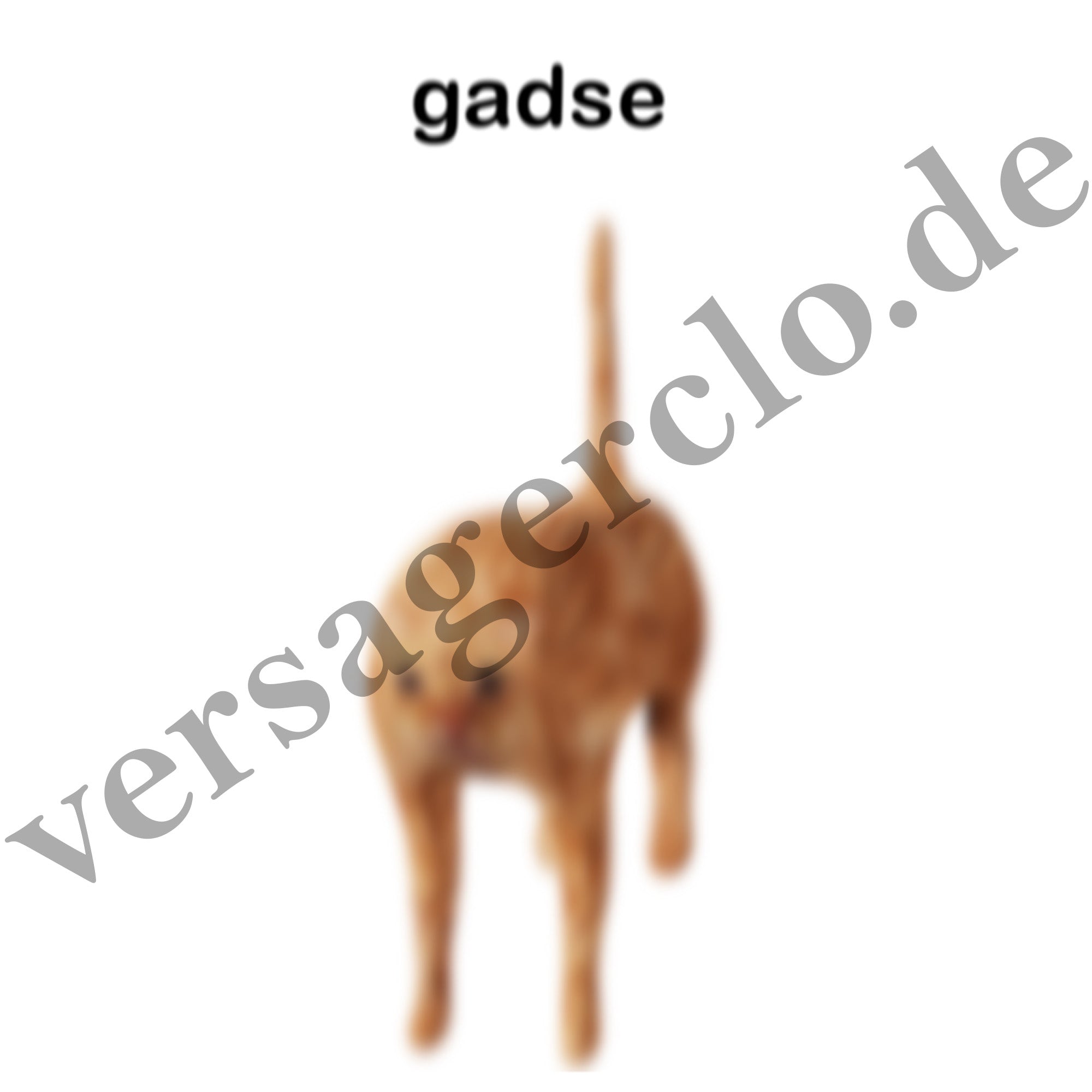 gadse Sticker