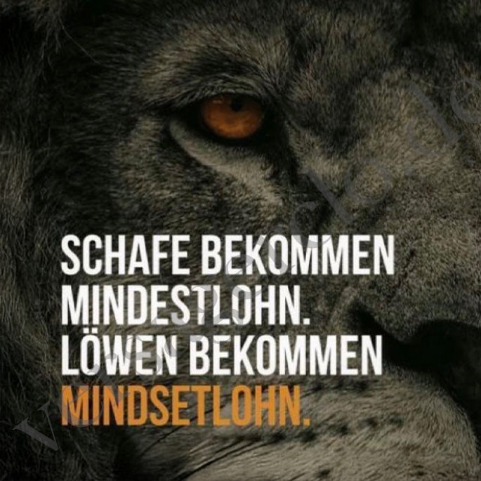 Sticker mit dem Spruch Schafe bekommen Mindestlohn. Löwen bekommen Mindsetlohn