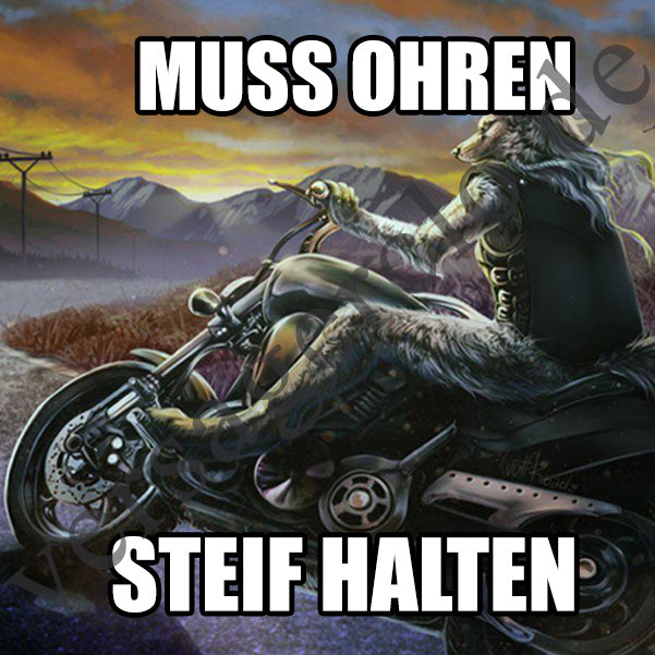 Muss ohren Steif halten sticker